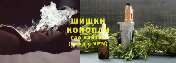 PSILOCYBIN Осинники