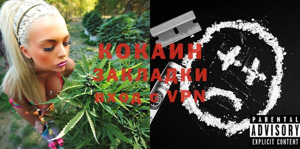 PSILOCYBIN Осинники