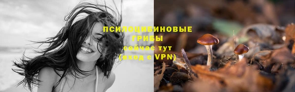 кристаллы Осташков
