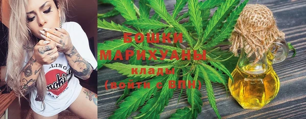 PSILOCYBIN Осинники